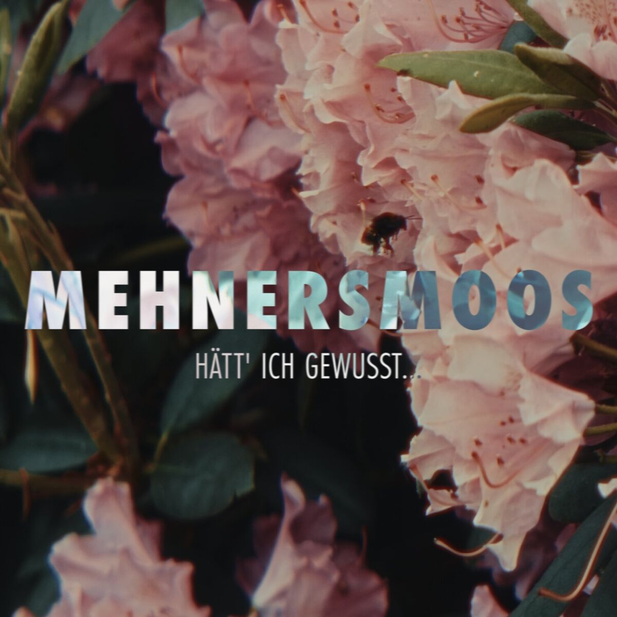 Album cover of Hätt ich gewusst