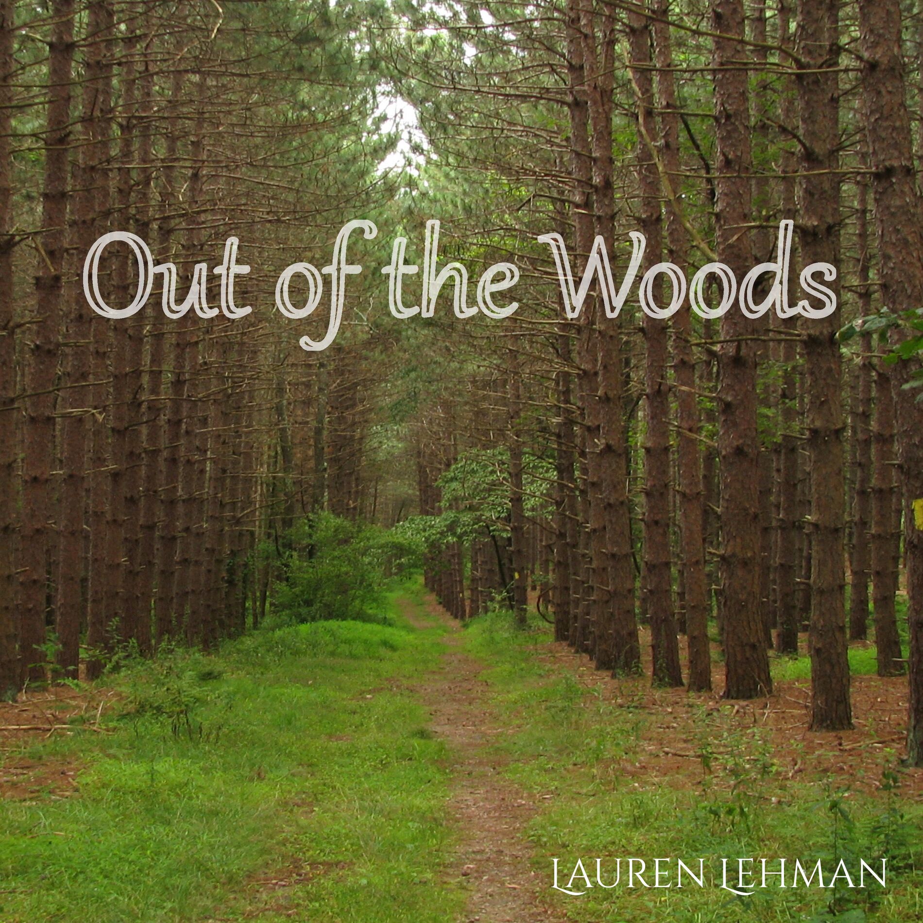 Album cover of Out of the Woods