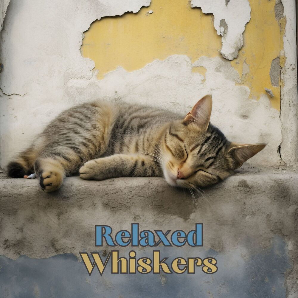 Picture of Relaxed Whiskers