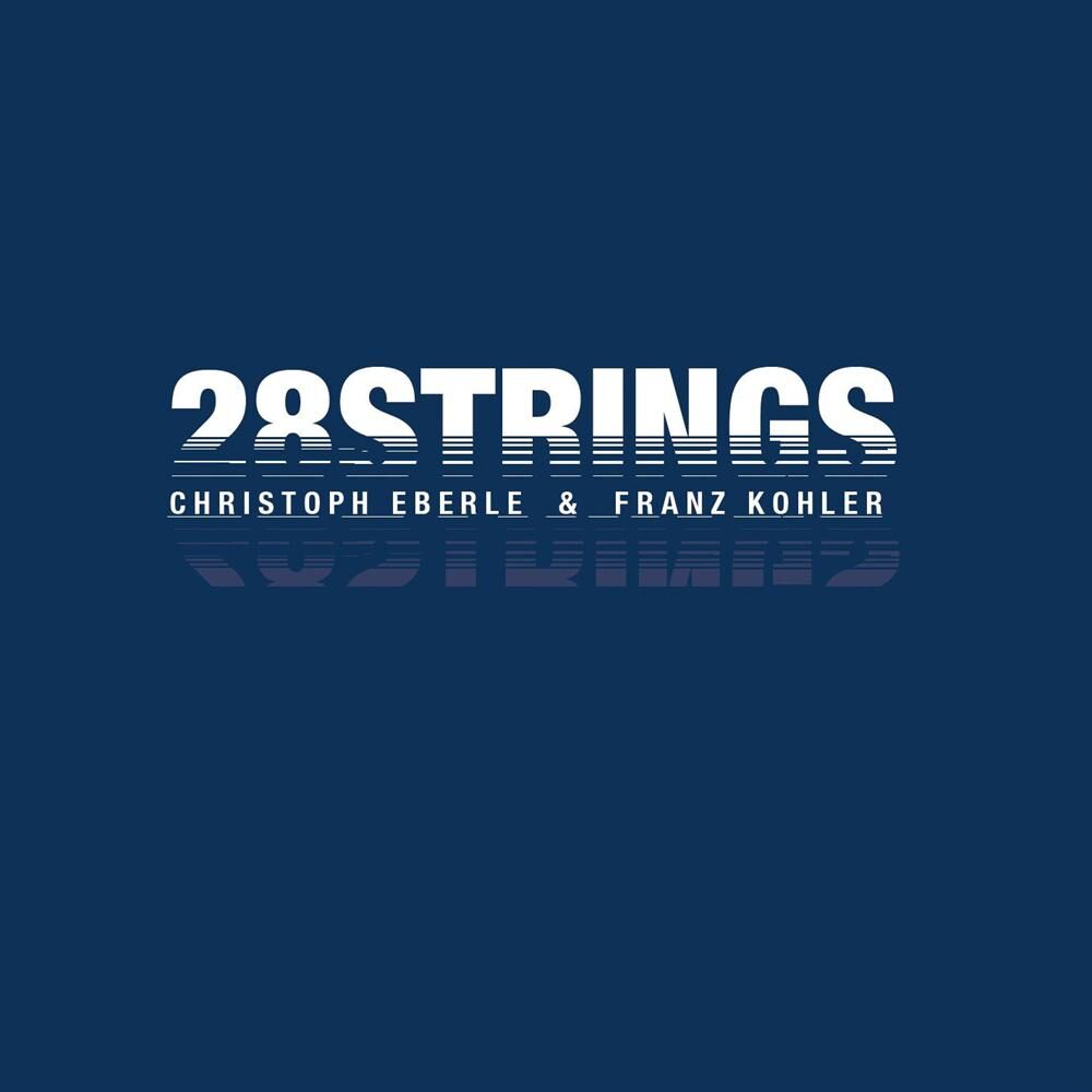 Picture of 28Strings