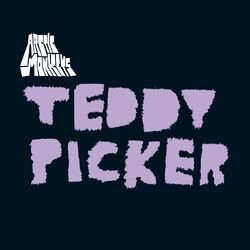 Cover of Teddy Picker