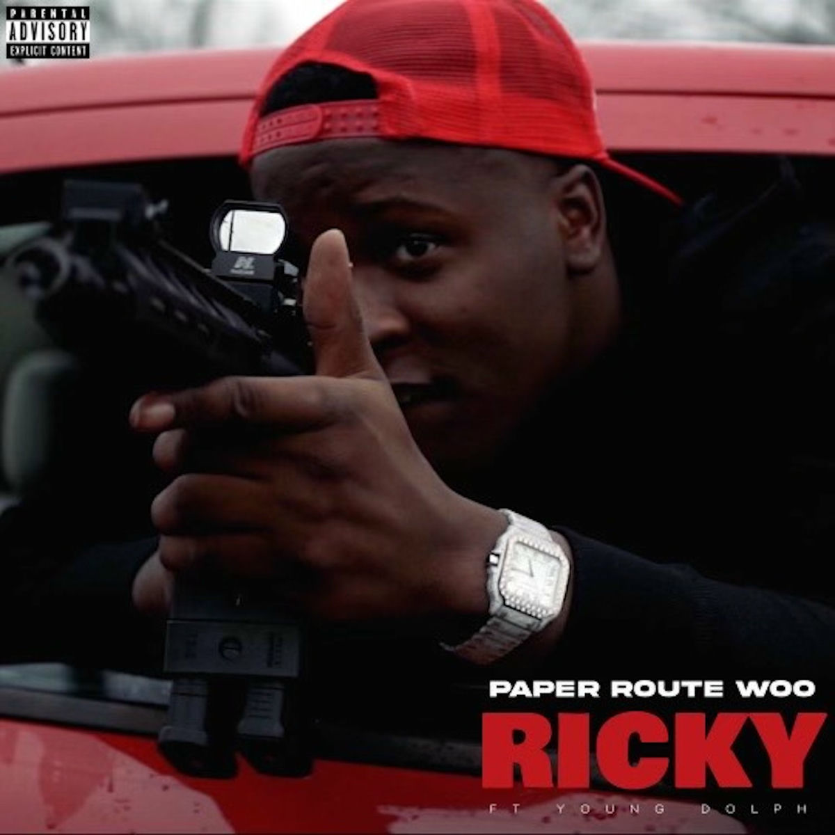 Album cover of Ricky