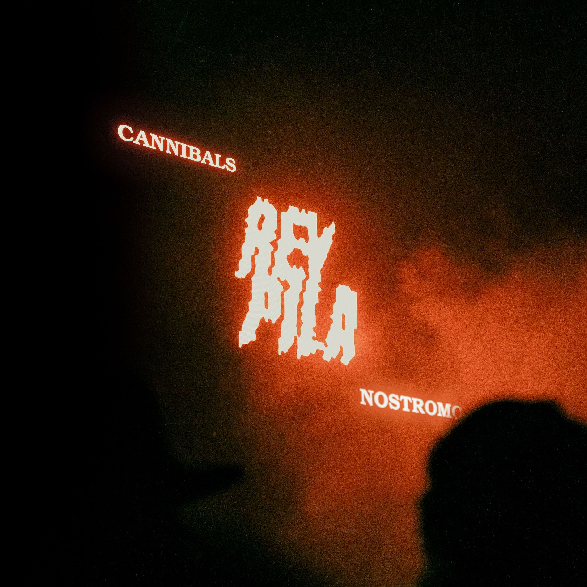 Album cover of Cannibals / Nostromo