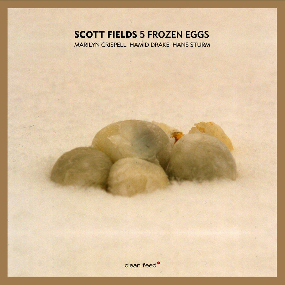 Picture of 5 Frozen Eggs