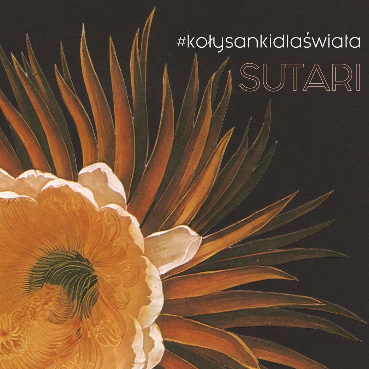 Album cover of #kołysankidlaświata