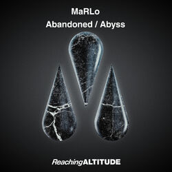 Cover of Abandoned / Abyss