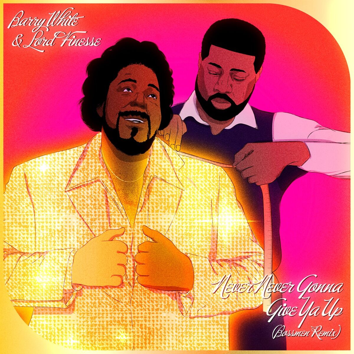 Album cover of Never, Never Gonna Give Ya Up