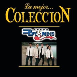 Cover of La Mejor Coleccion (Componente 1)