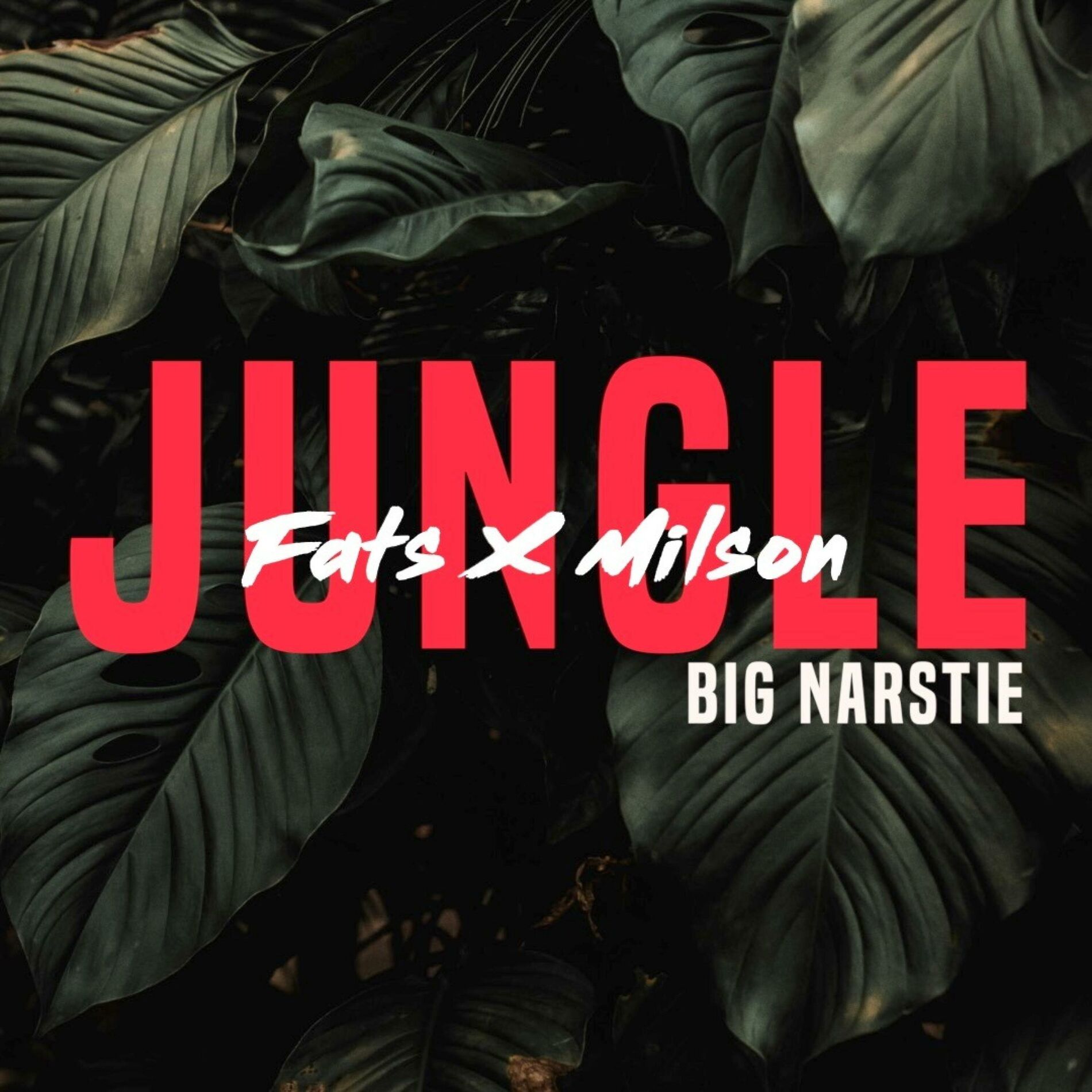 Album cover of Jungle (feat. Imech)