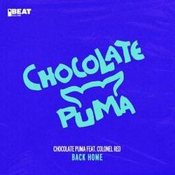 Cover of Back Home