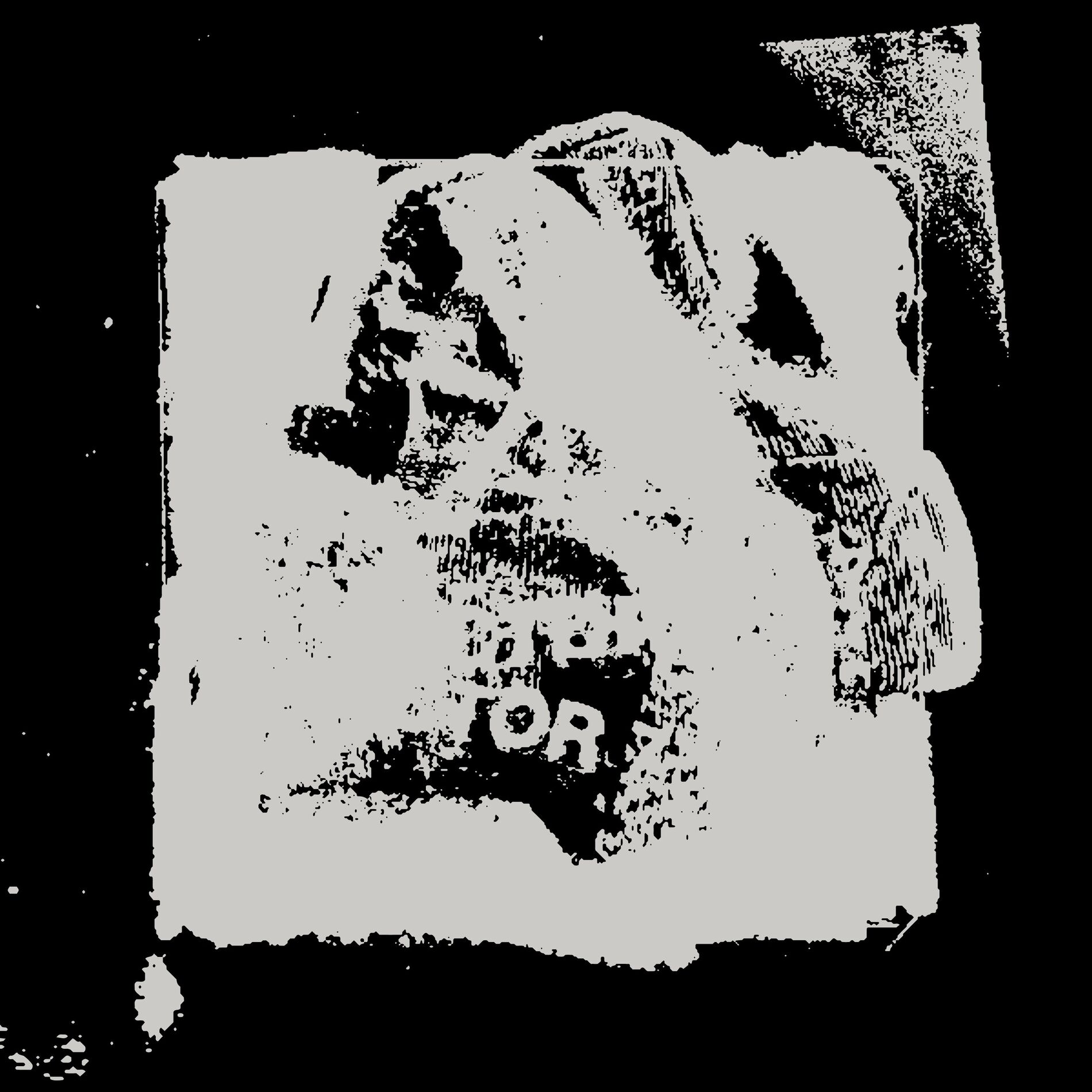 Album cover of Random Lab