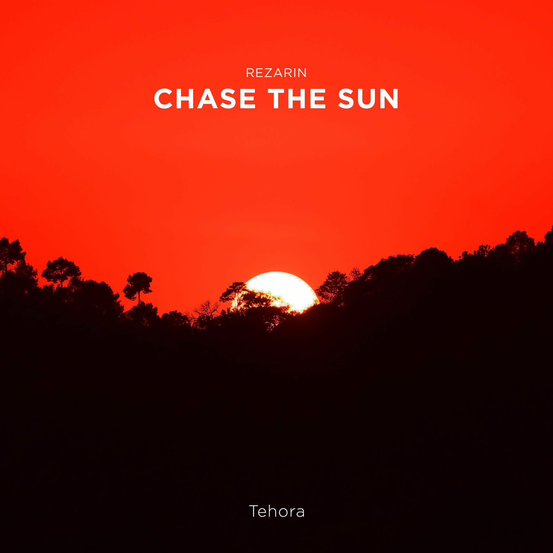 Album cover of Chase The Sun