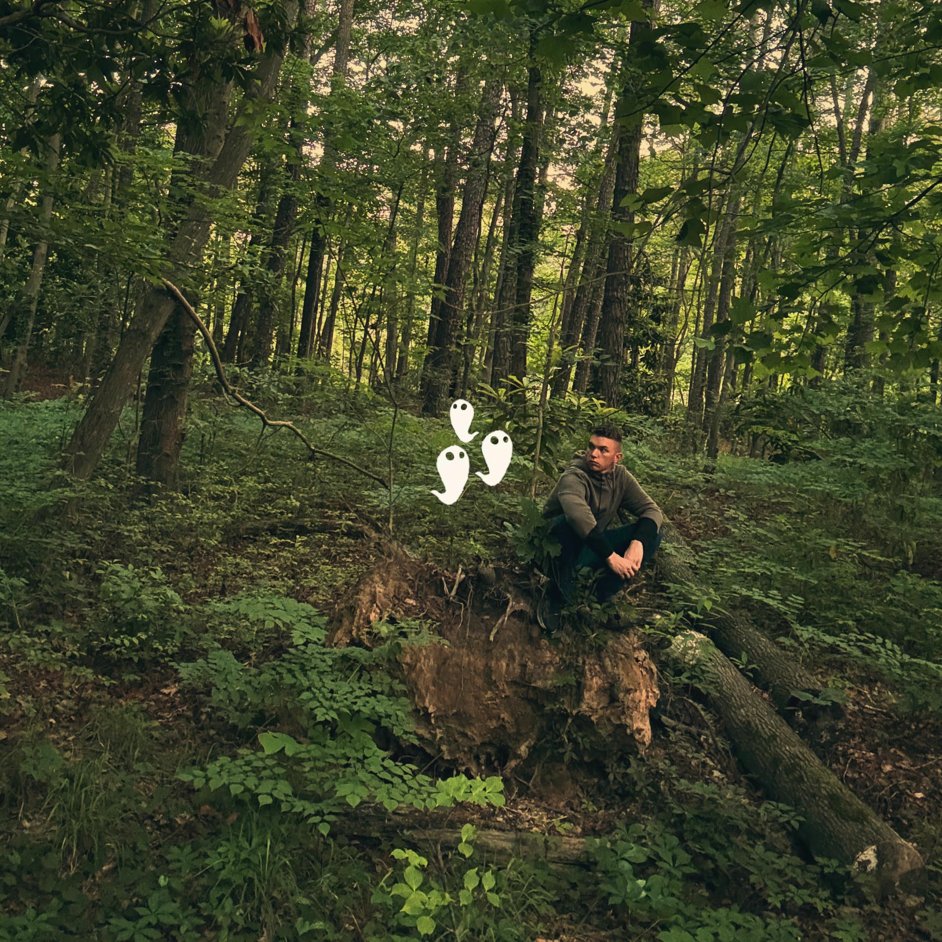 Album cover of The Oaks of Evergrove