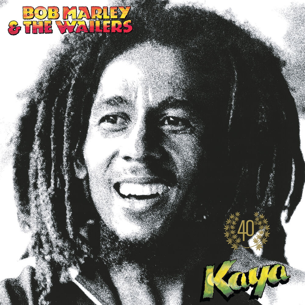 Picture of She's Gone (Kaya 40 Mix)