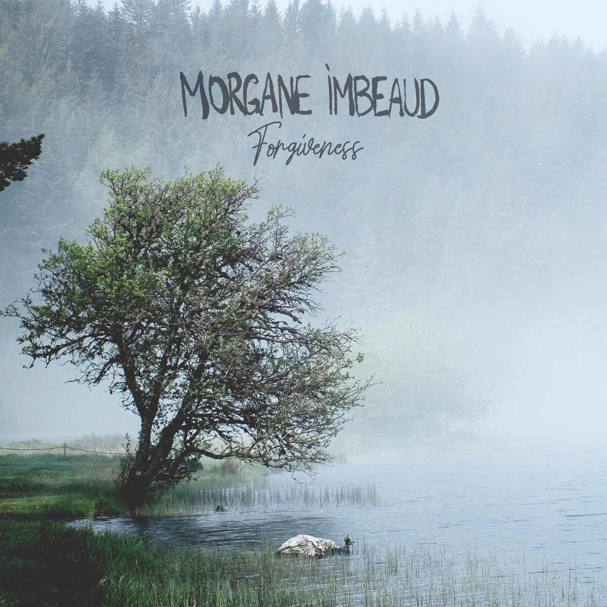 Album cover of Forgiveness