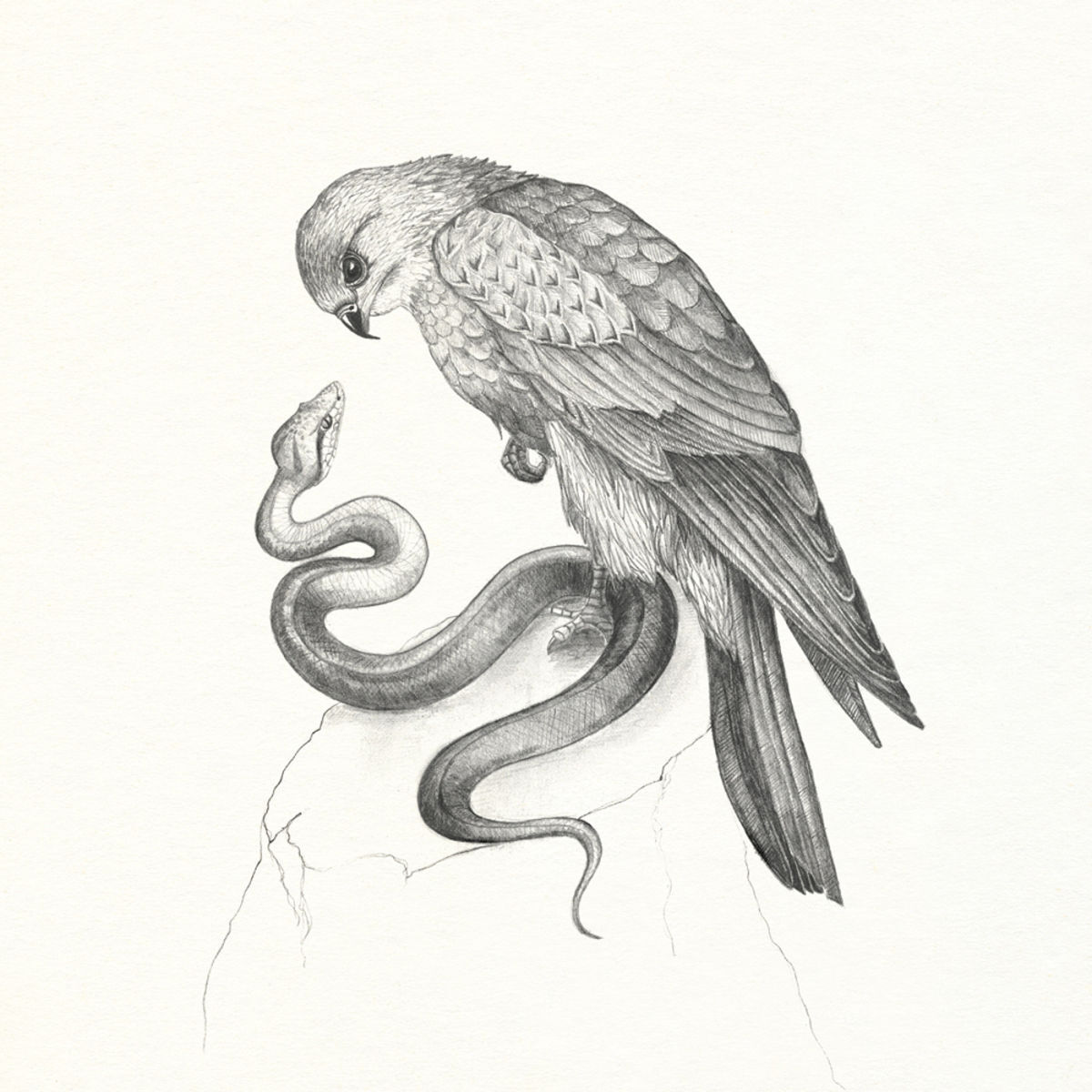 Album cover of Savages