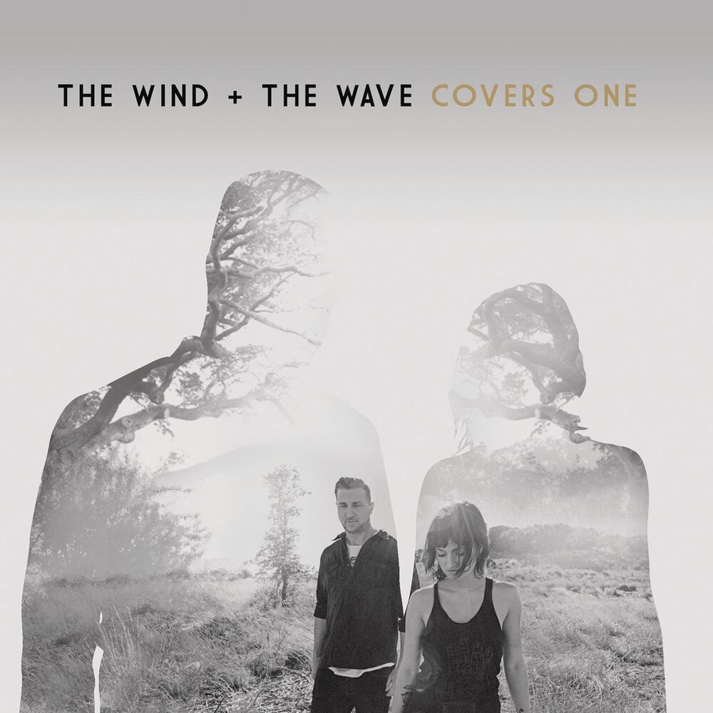Picture of Covers One