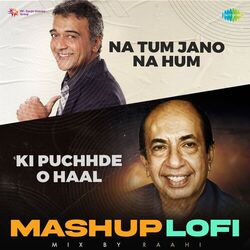 Cover of Na Tum Jano Na Hum X Ki Puchhde O Haal (Lofi Mashup) - Single