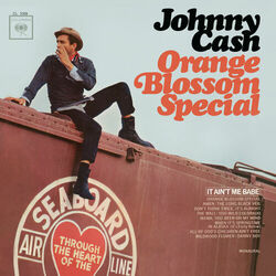 Cover of Orange Blossom Special