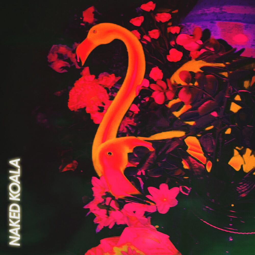 Picture of Flamingo