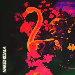 Cover of Flamingo