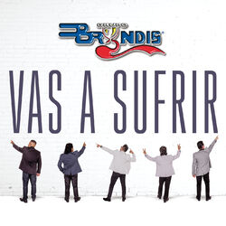 Cover of Vas A Sufrir (En Vivo)