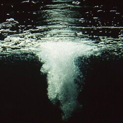 Cover of Loop