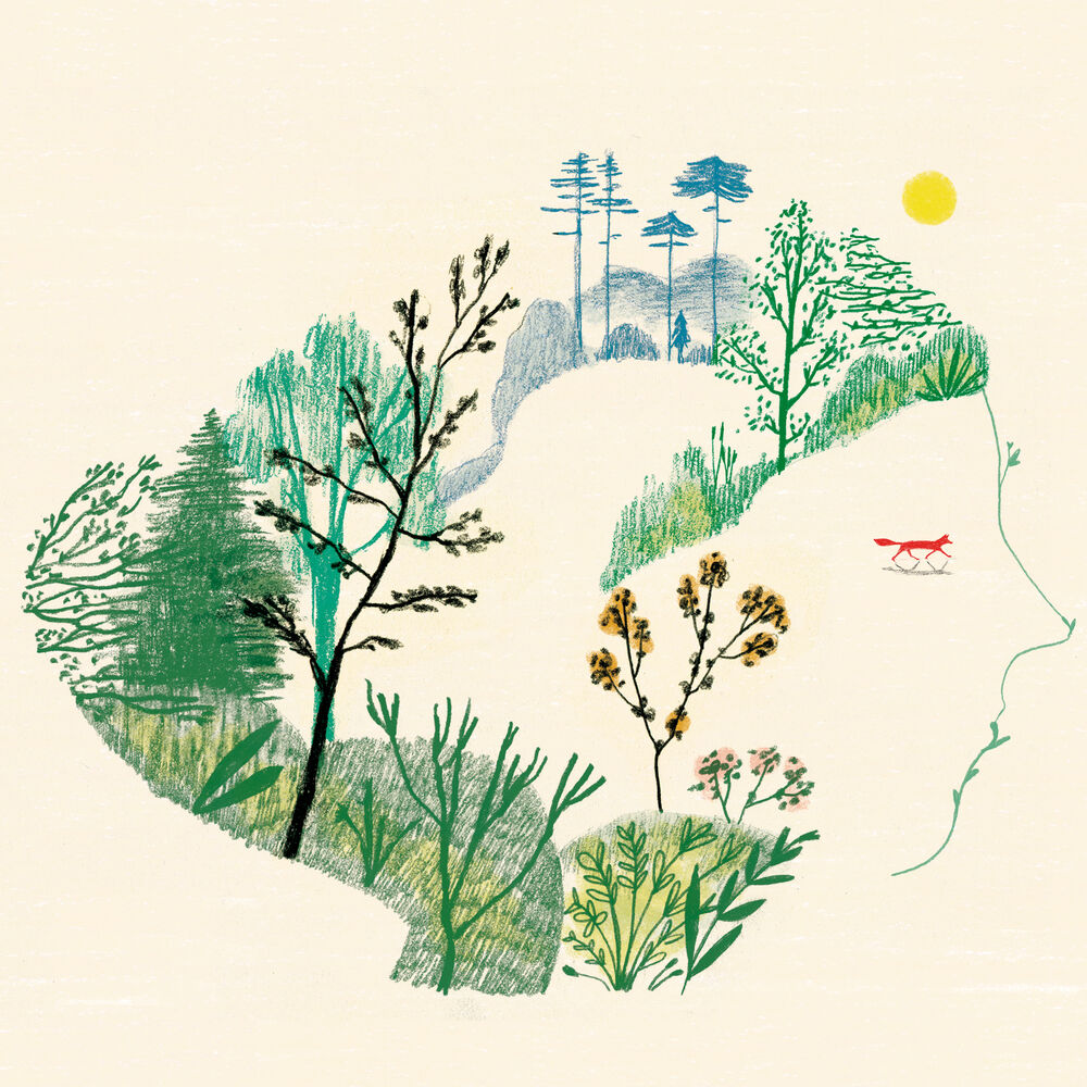 Picture of Un Bosque