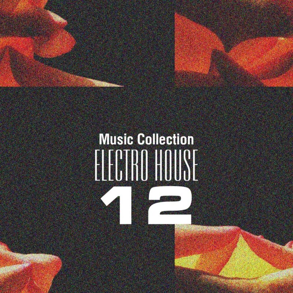 Picture of Music Collection. Electro House, Vol. 12