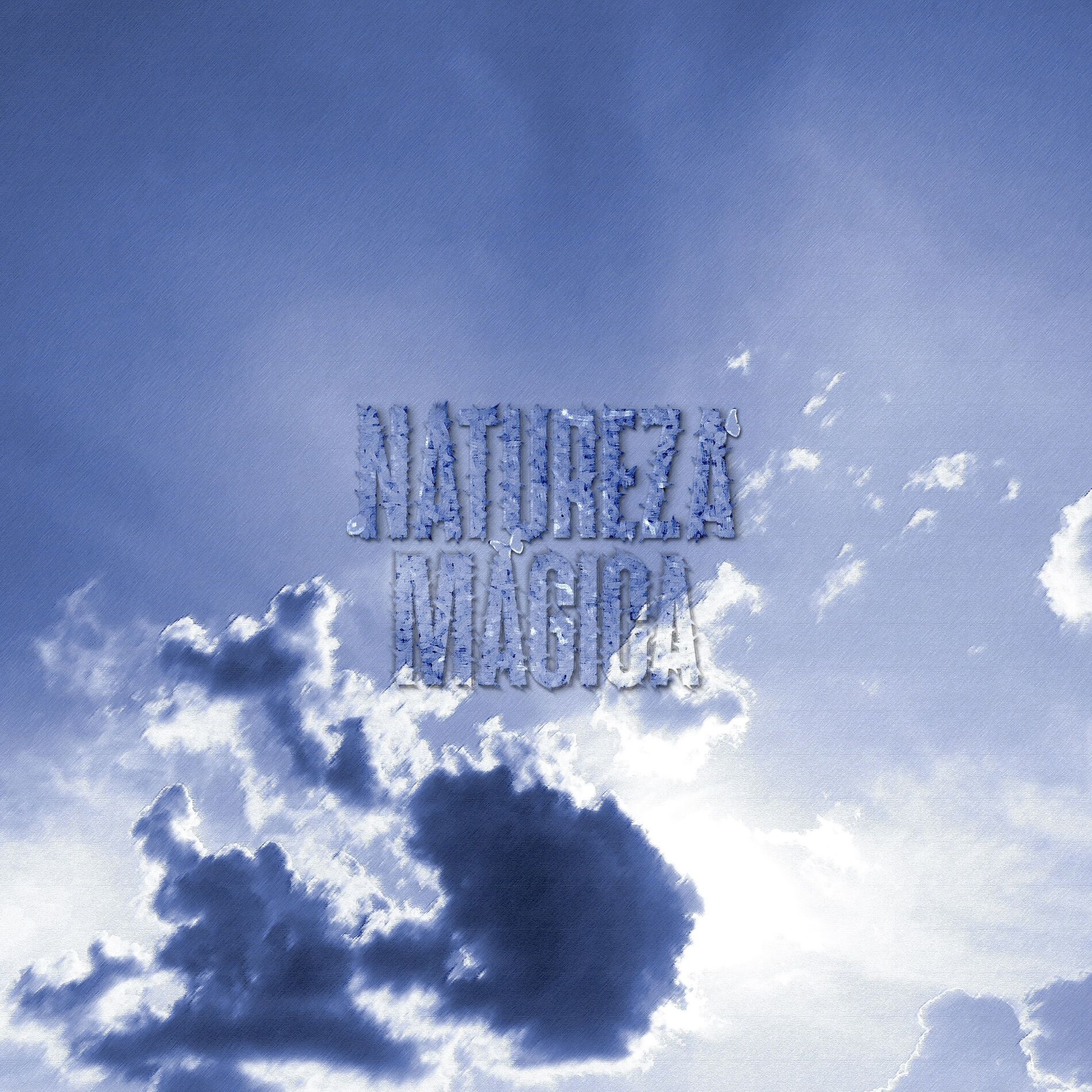 Album cover of Touching the Sky