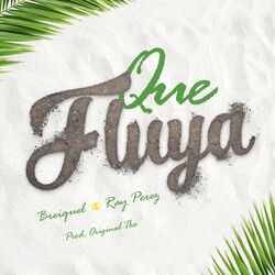 Cover of Que fluya
