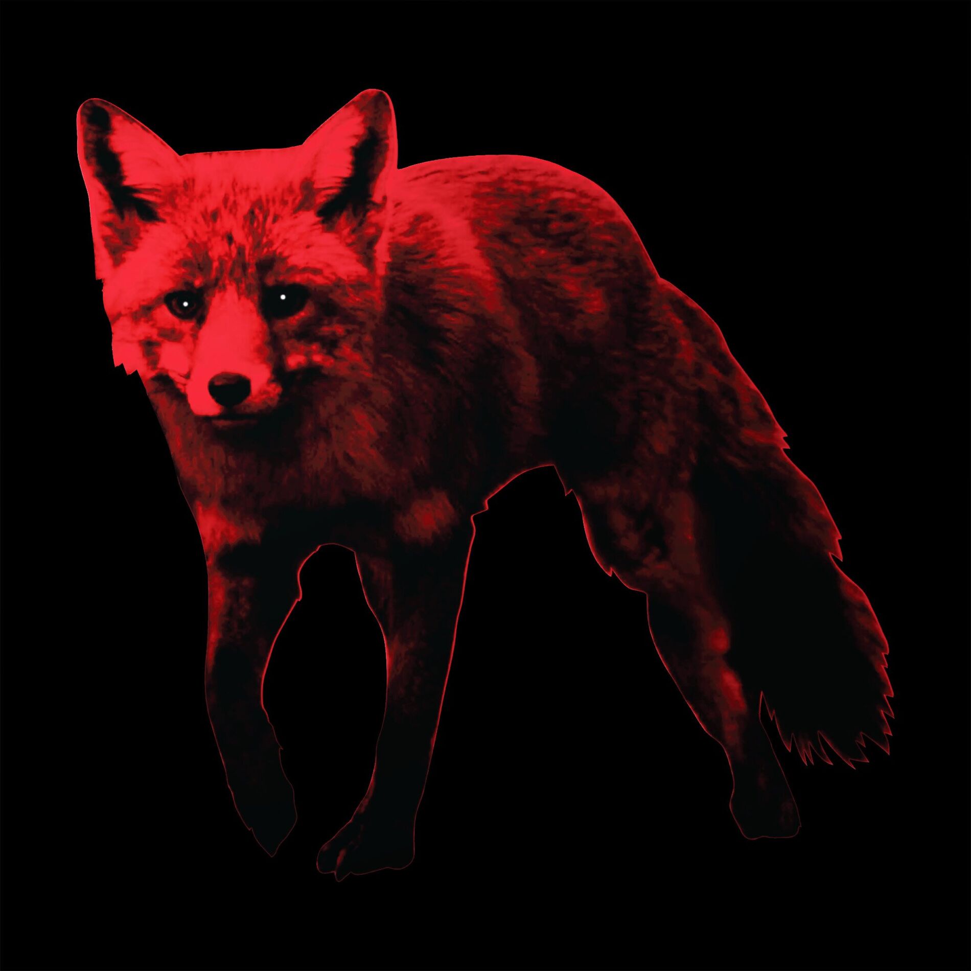 Album cover of Shut 'Em Up