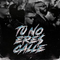 Cover of Tu No Eres Calle