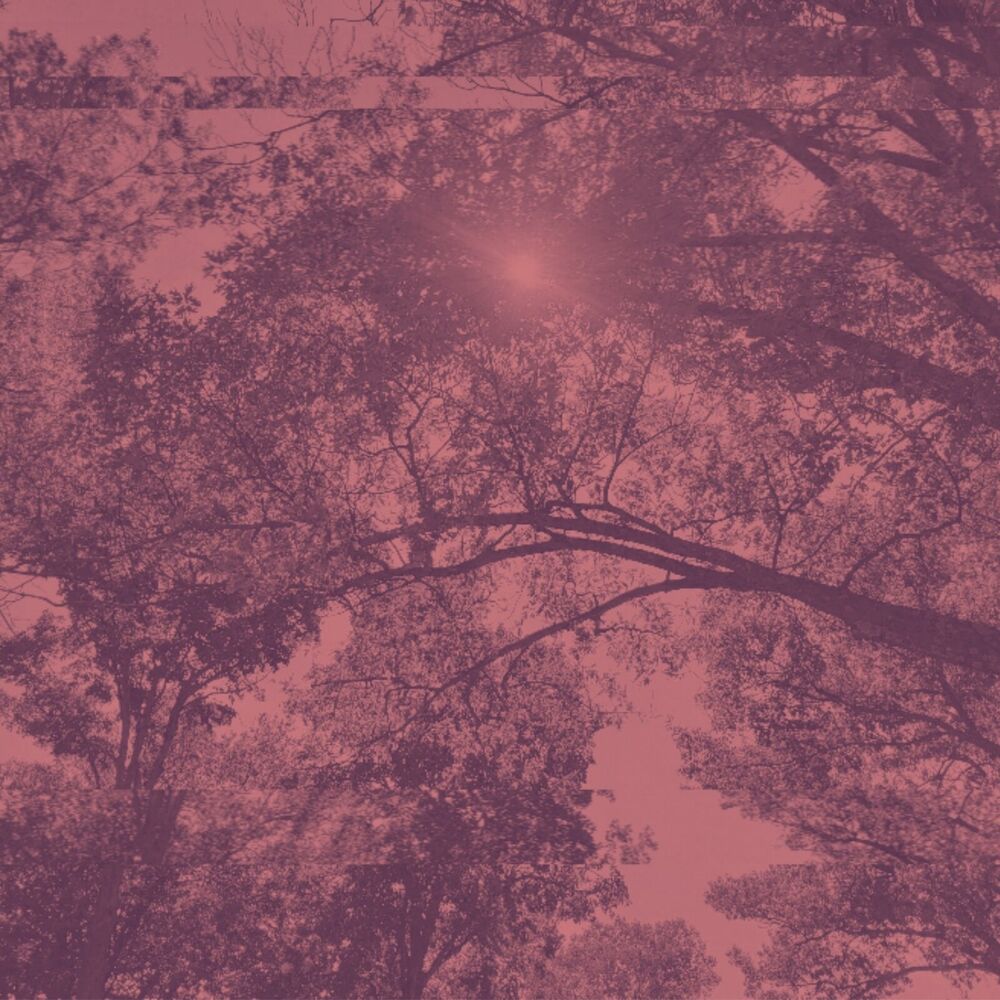 Picture of Forgotten Memories
