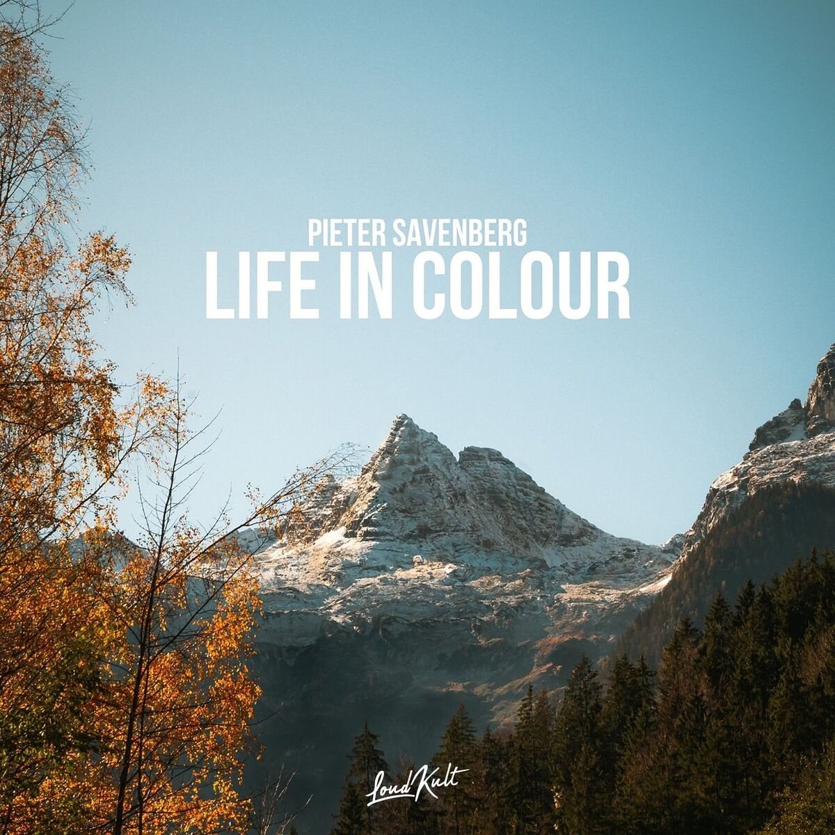 Album cover of Life in Colour