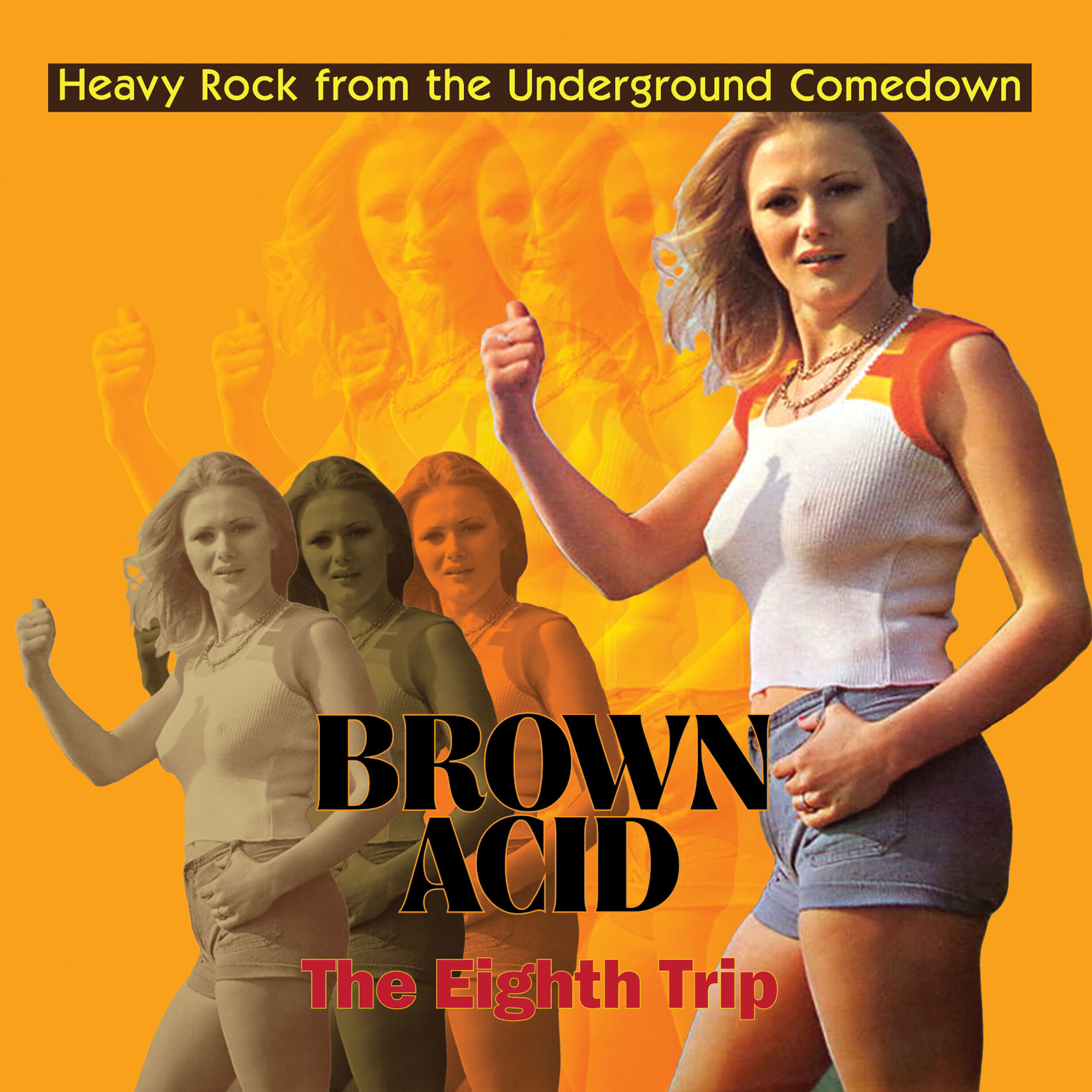 Album picture of Brown Acid - The Eighth Trip