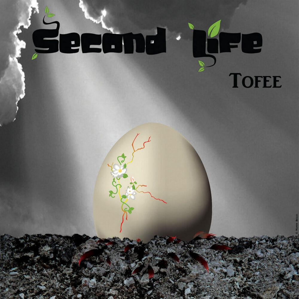 Picture of Second Life