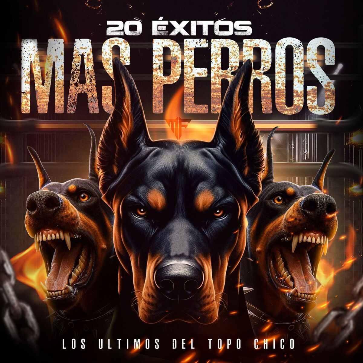 Album cover of 20 Exitos Mas Perros
