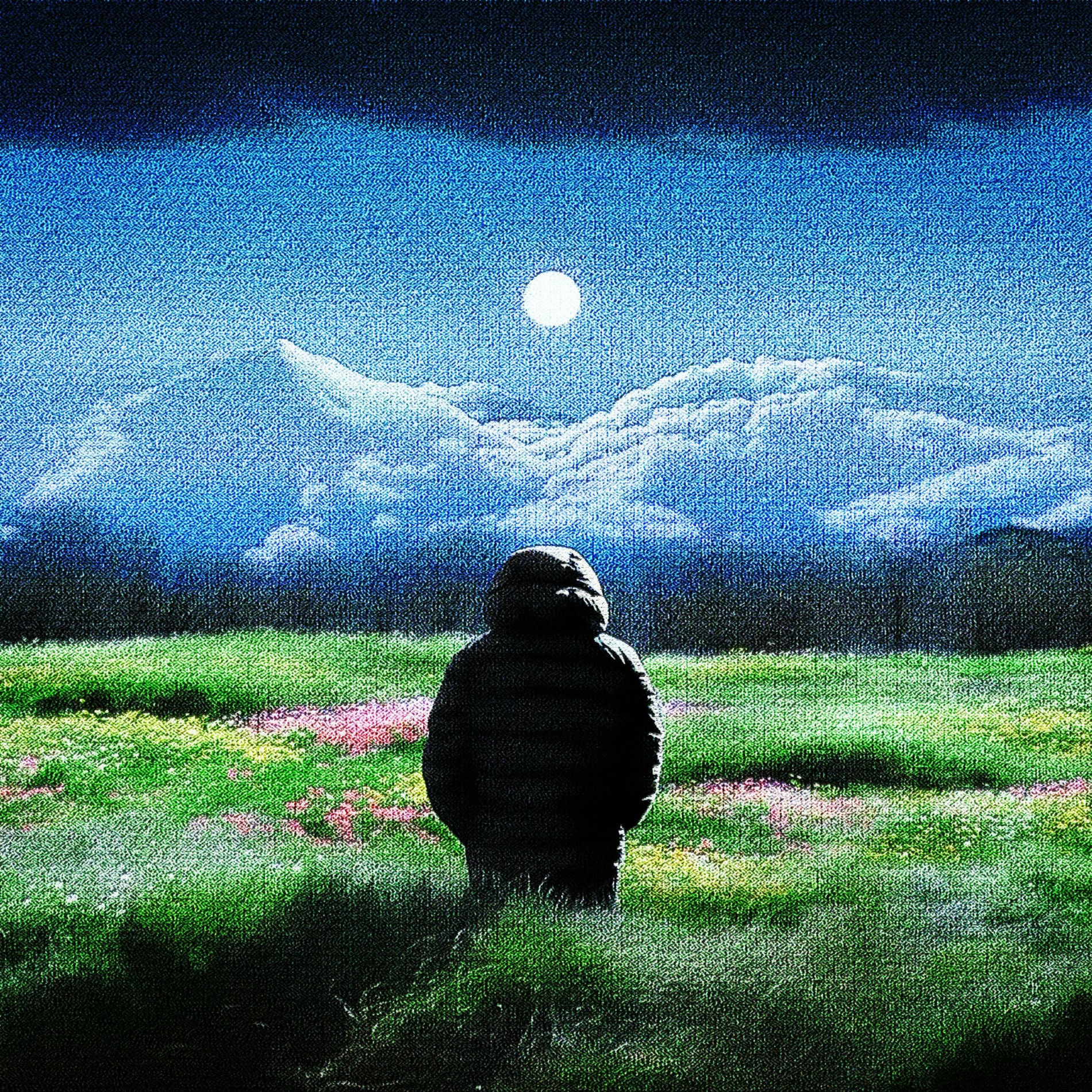 Album cover of La quête du bonheur