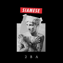 Cover of 2BA