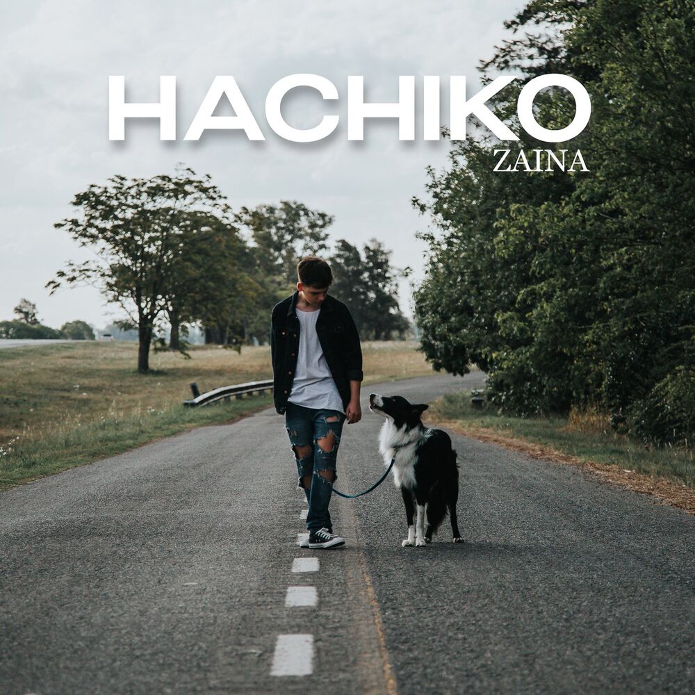Picture of Hachiko