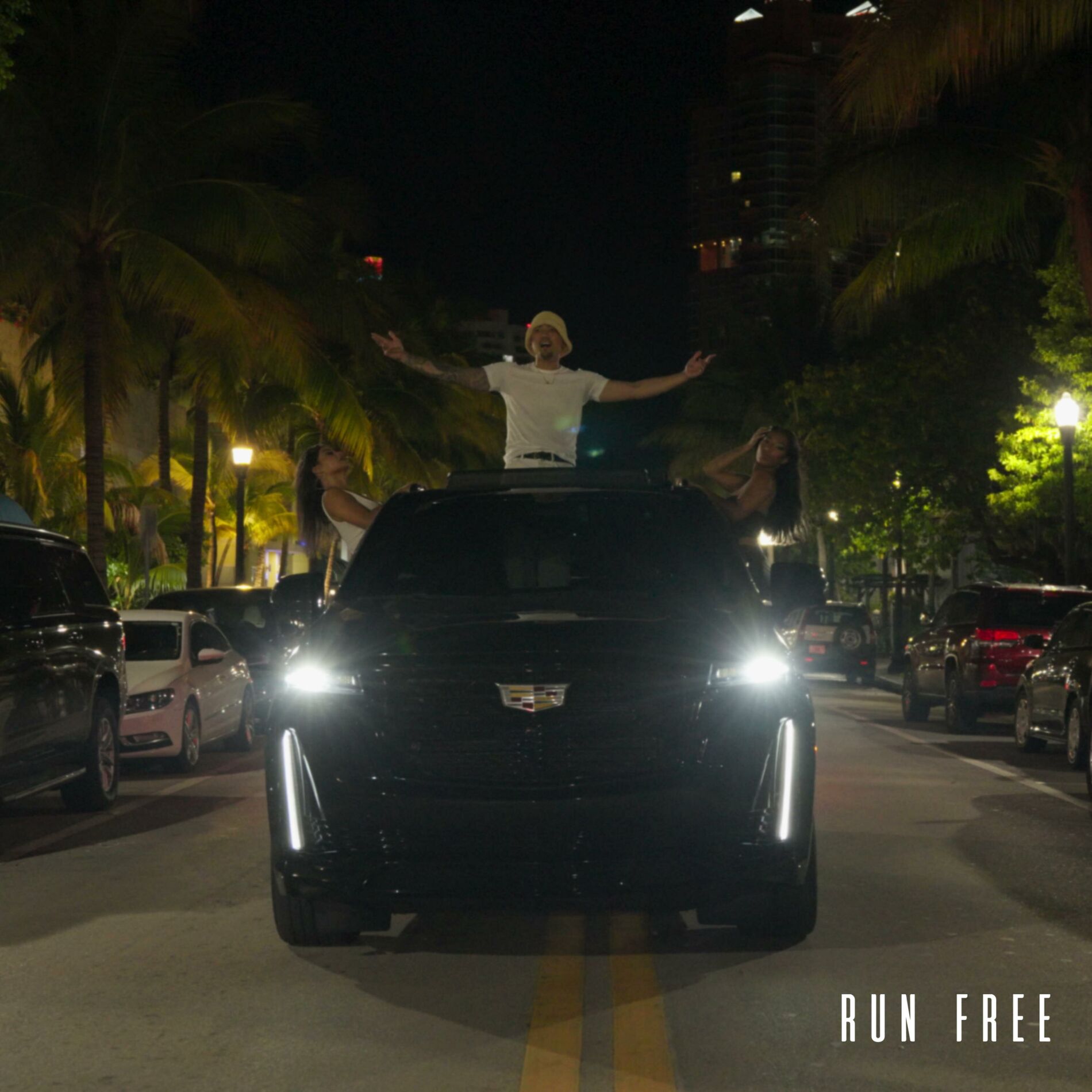 Album cover of Run Free