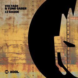 Cover of 12 Gauge