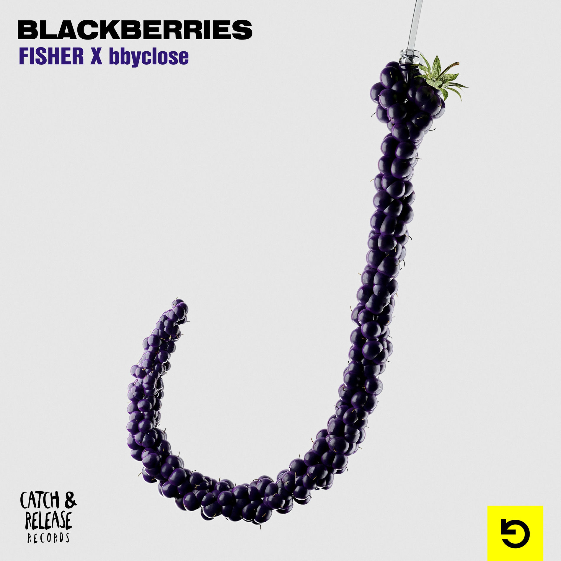 Album cover of Blackberries