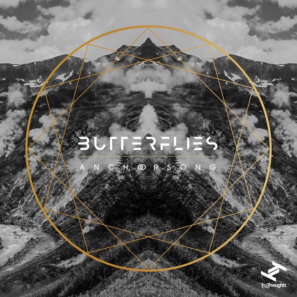Picture of Butterflies