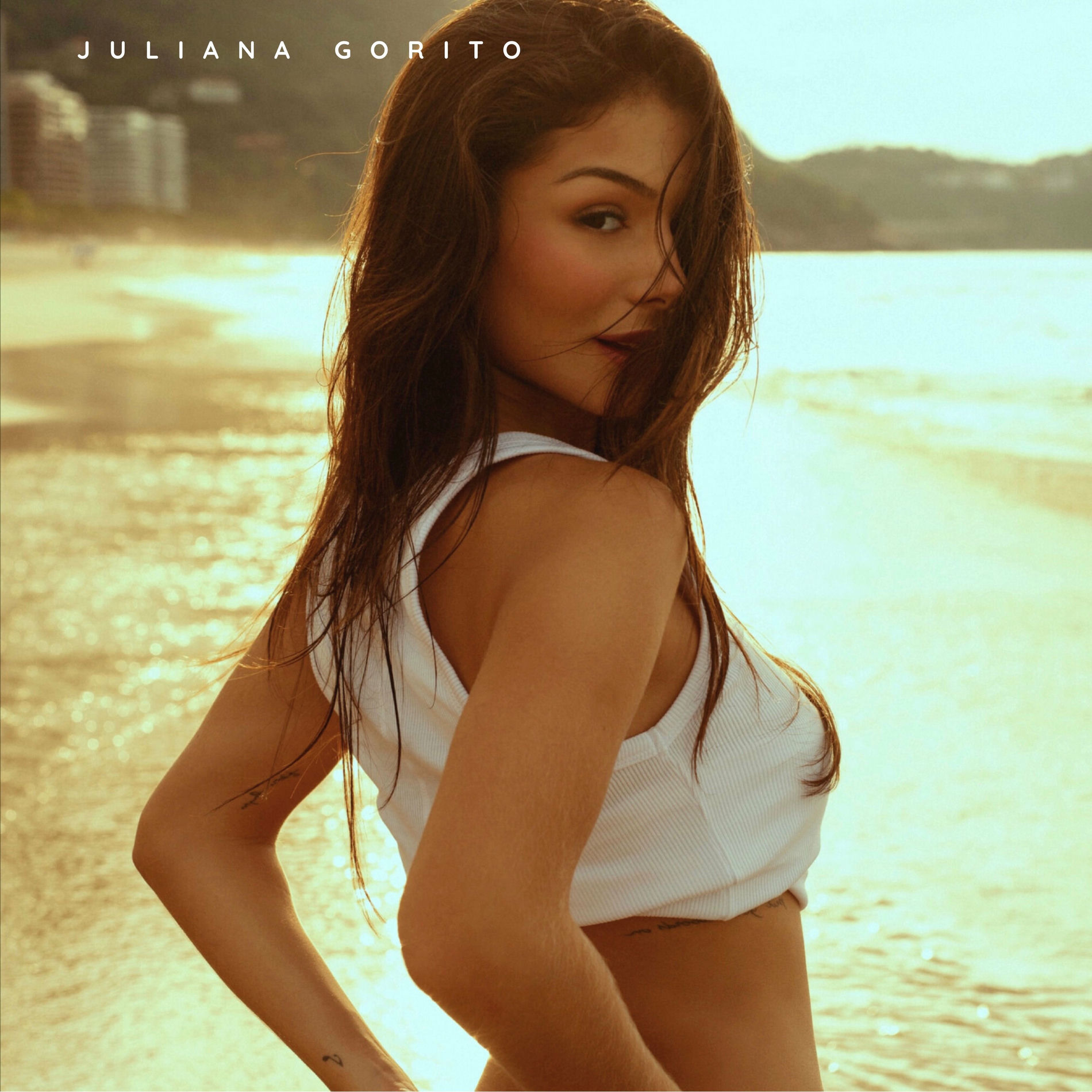 Album cover of hortelã