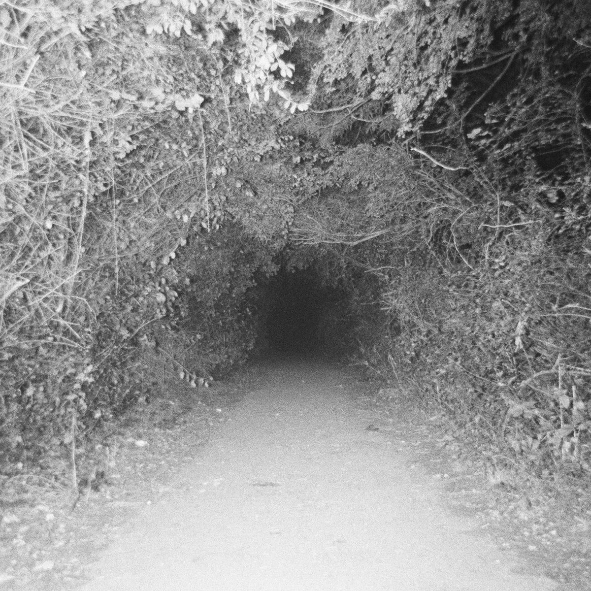 Album cover of Been a Minute