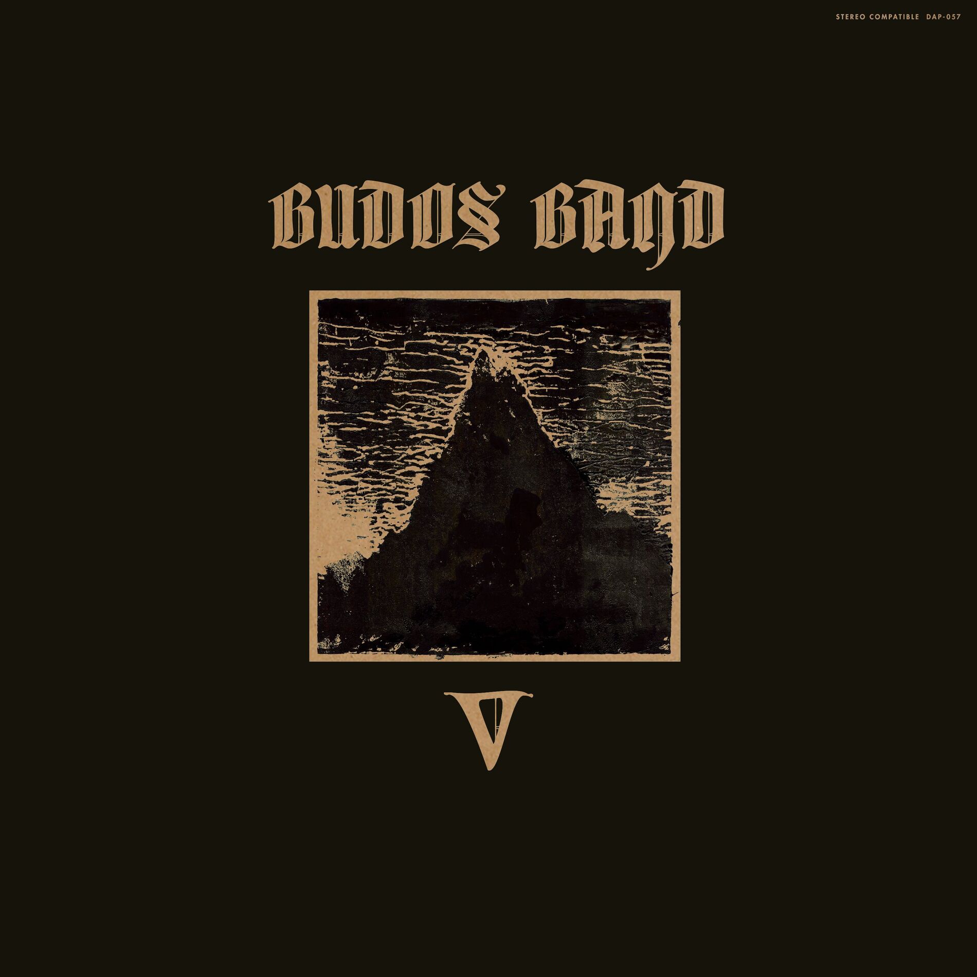 Album cover of V