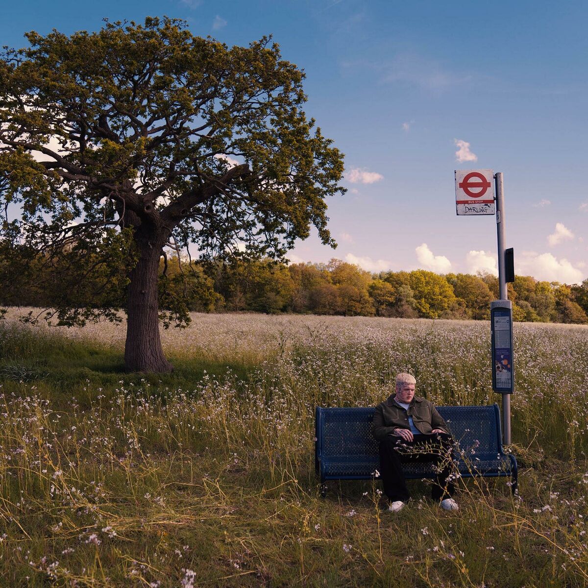 Album cover of Darling (Acoustic)