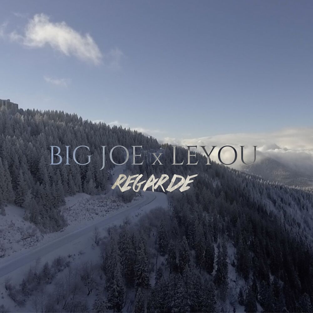 Picture of Regarde (Radio Edit)
